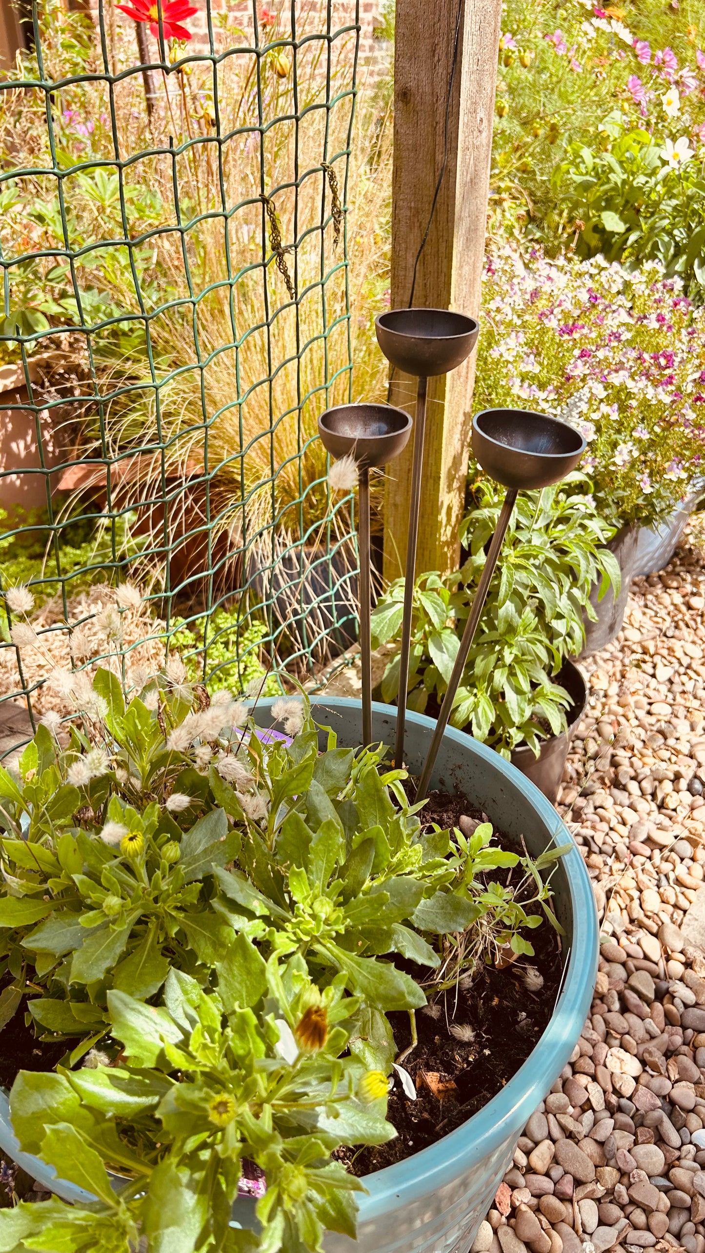 Trio mini rain catchers bee feeders etc
