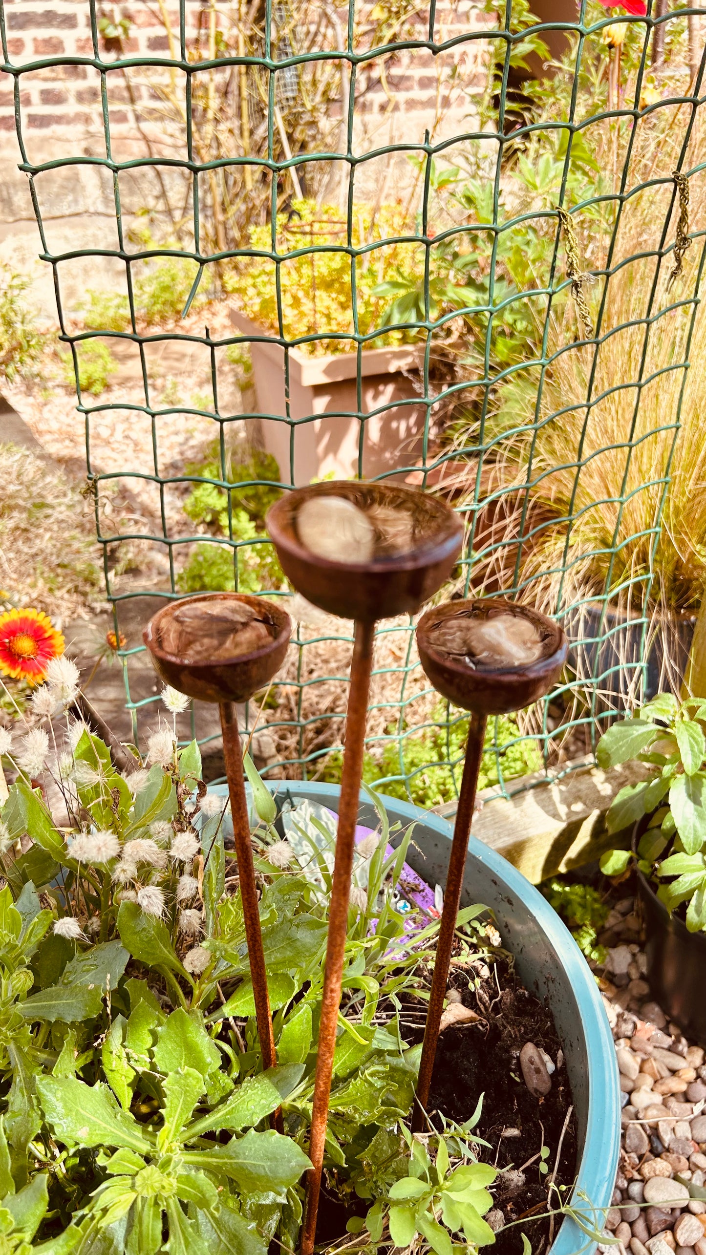 Trio mini rain catchers bee feeders etc
