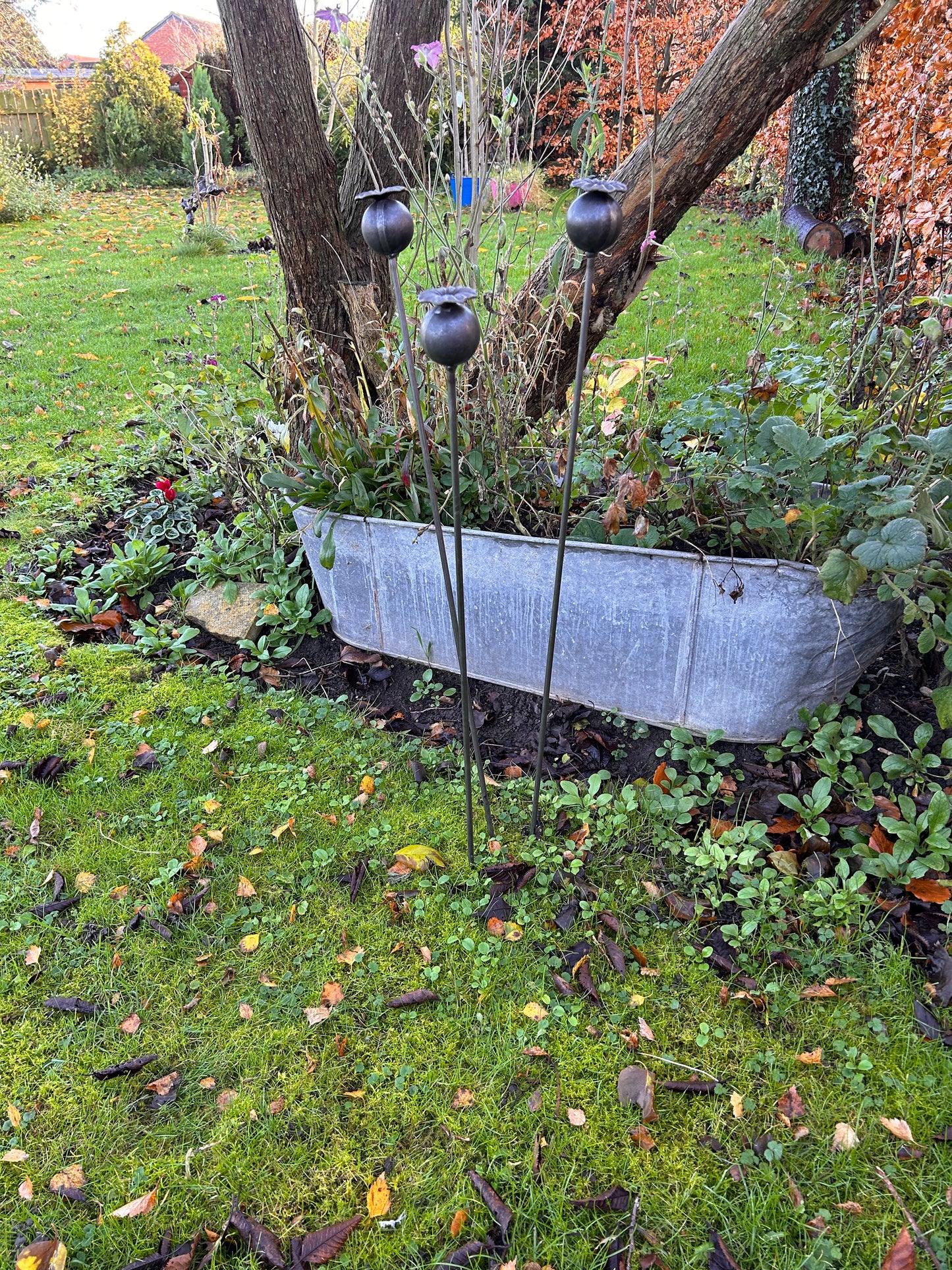 3 RUSTY GARDEN METAL POPPY SEED HEADS PLANT SUPPORTS