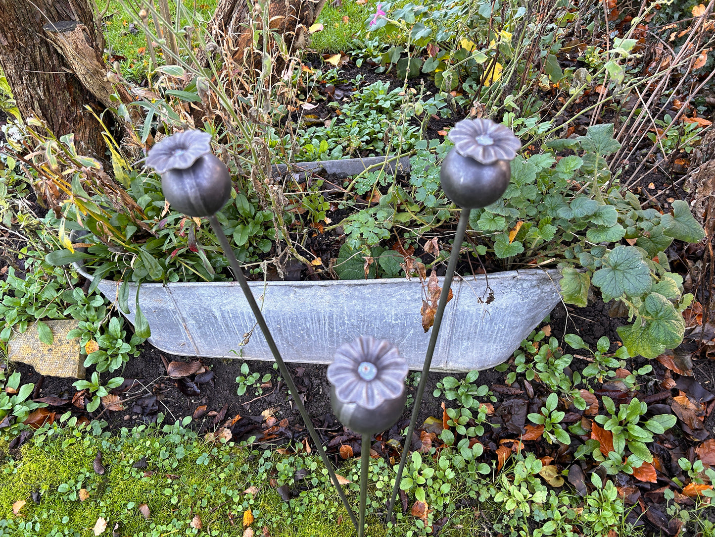 3 RUSTY GARDEN METAL POPPY SEED HEADS PLANT SUPPORTS