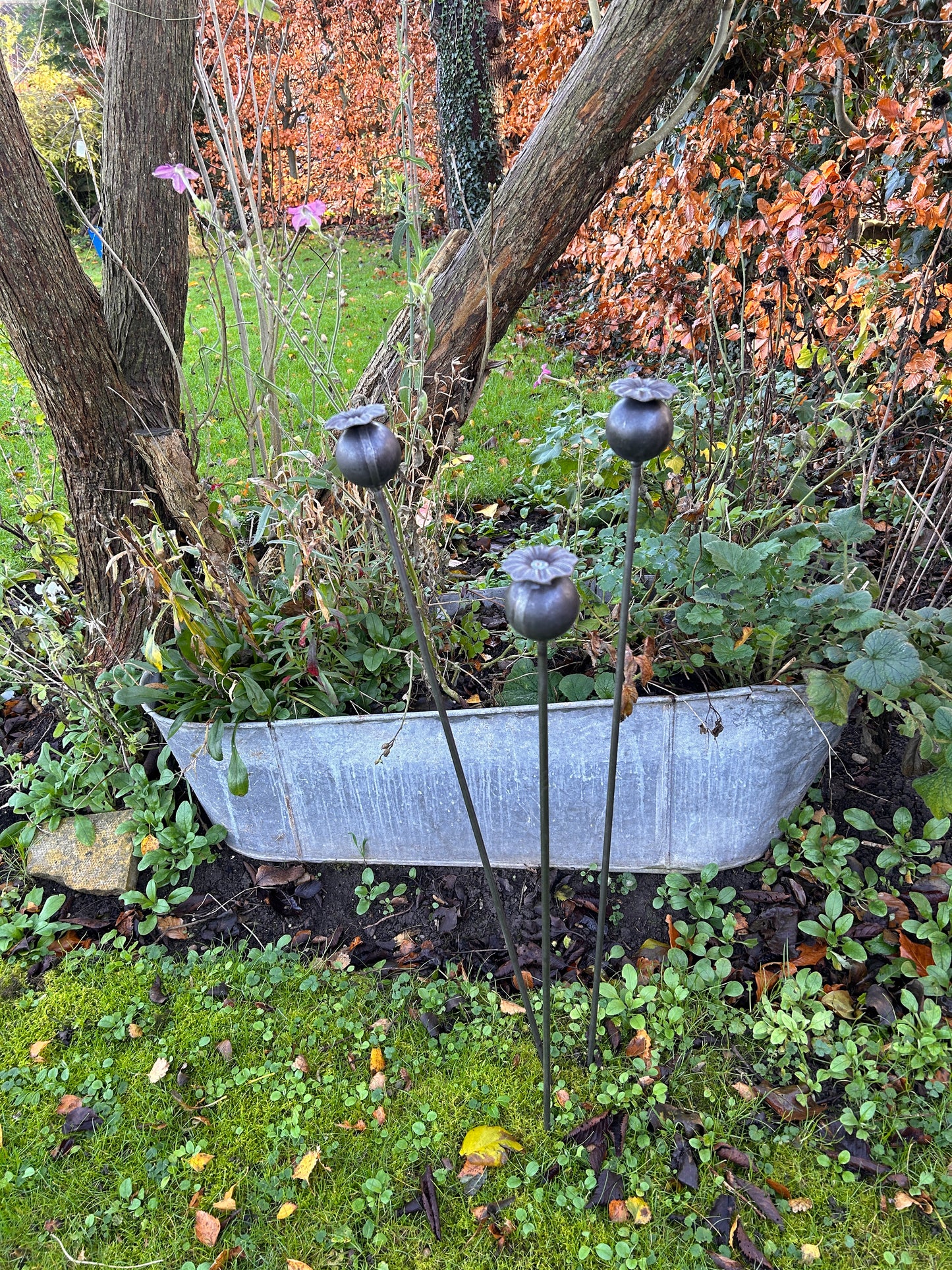3 RUSTY GARDEN METAL POPPY SEED HEADS PLANT SUPPORTS