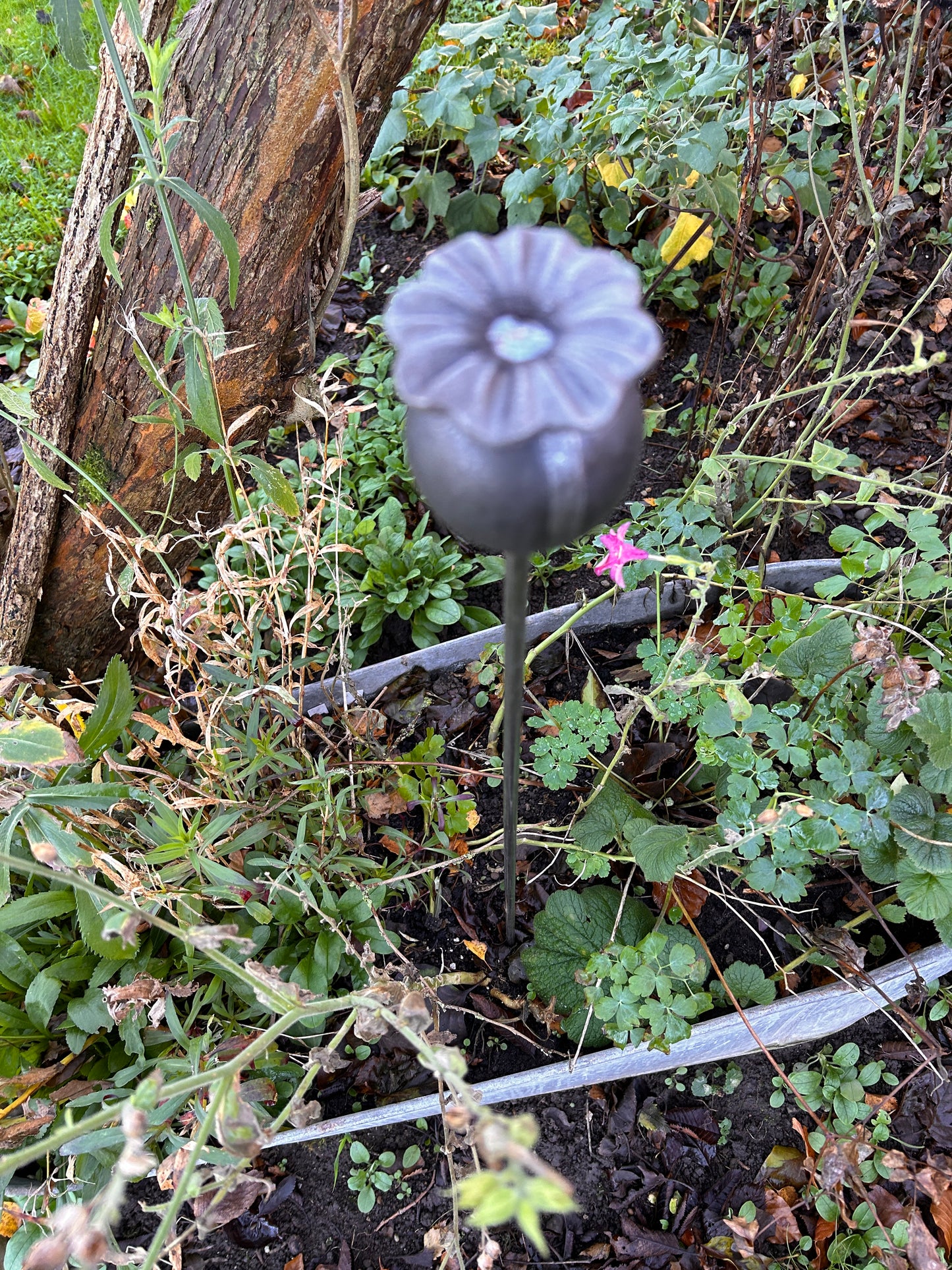 3 RUSTY GARDEN METAL POPPY SEED HEADS PLANT SUPPORTS