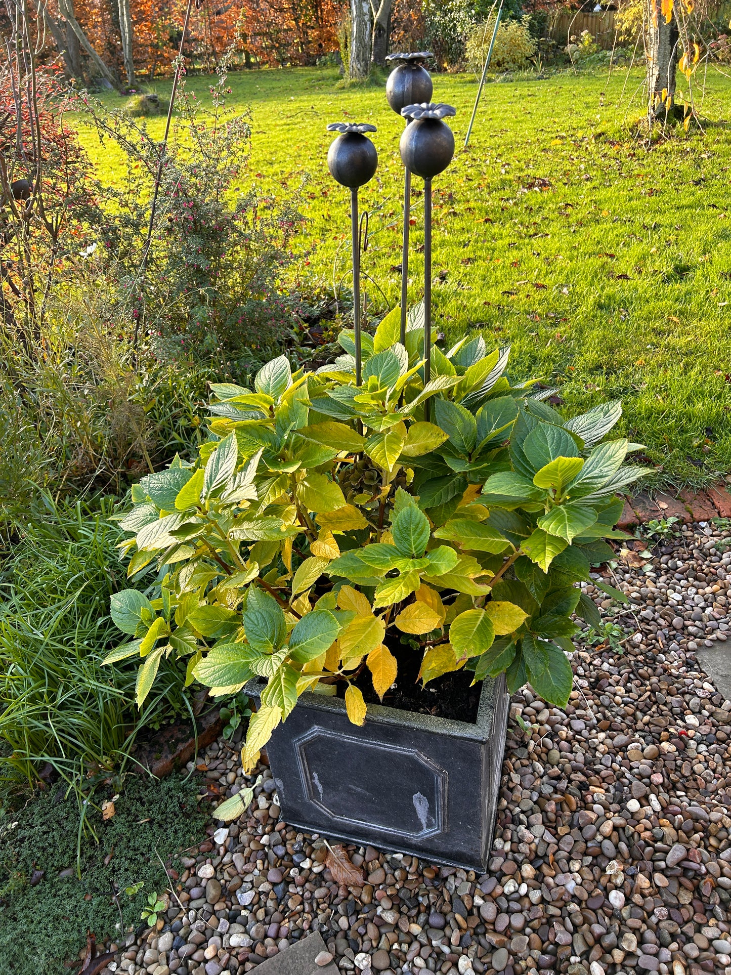 3 RUSTY GARDEN METAL POPPY SEED HEADS PLANT SUPPORTS