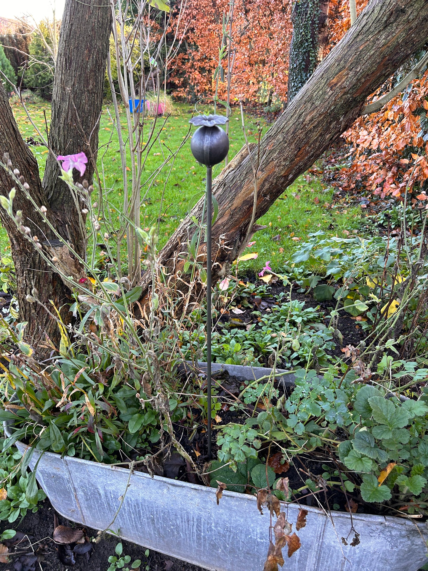 3 RUSTY GARDEN METAL POPPY SEED HEADS PLANT SUPPORTS