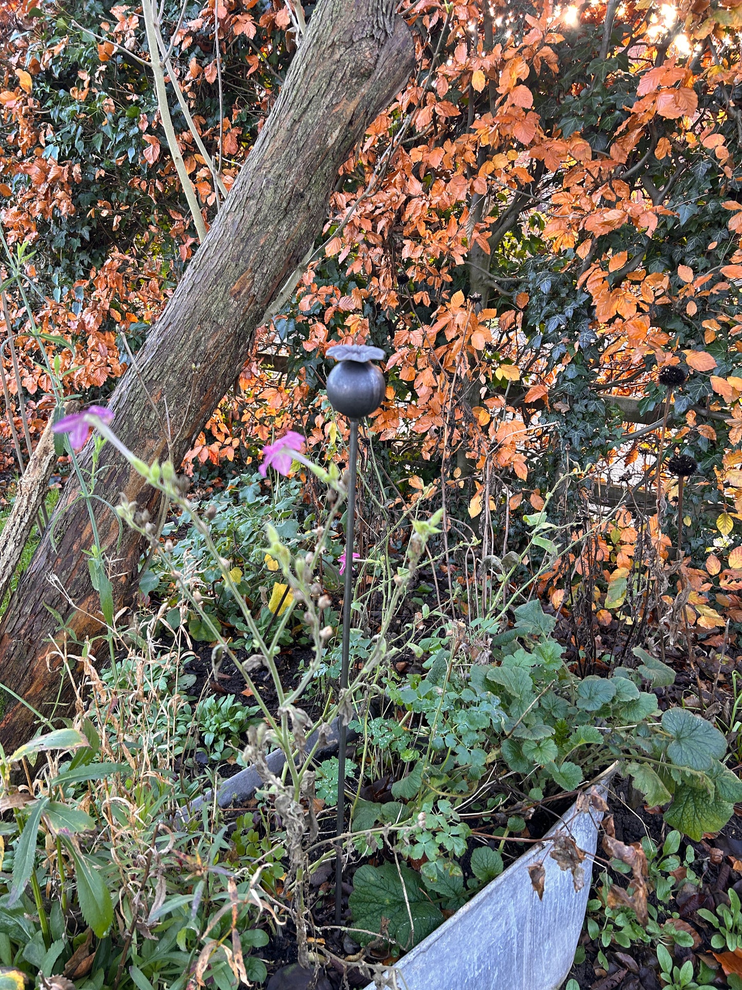 3 RUSTY GARDEN METAL POPPY SEED HEADS PLANT SUPPORTS