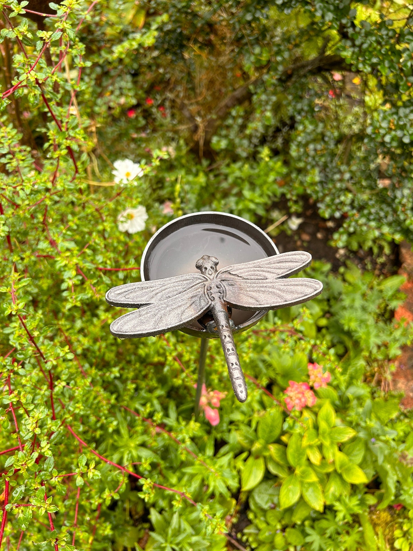 Dragonfly raincatcher RUSTY