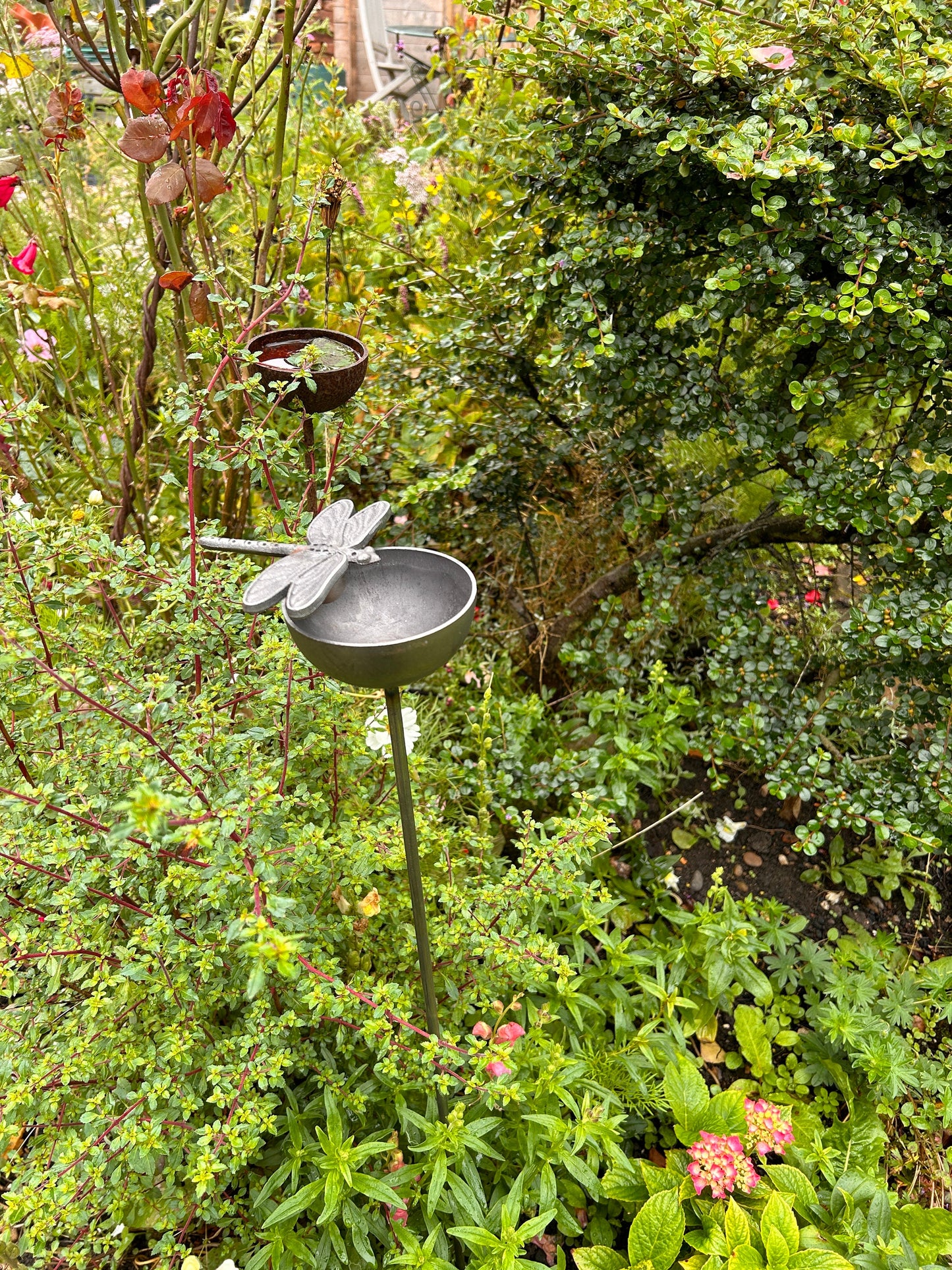 Dragonfly raincatcher RUSTY