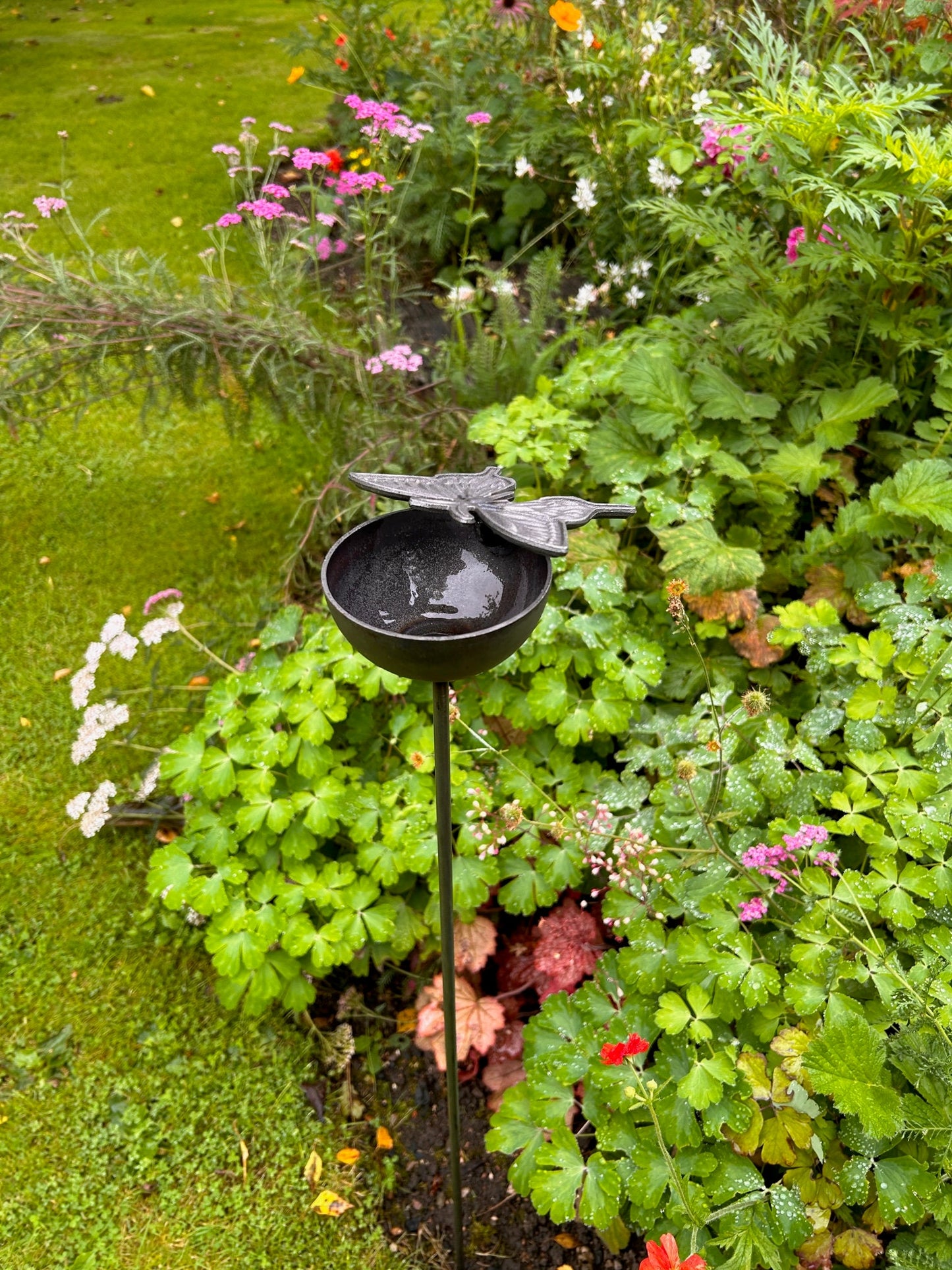 Large Butterfly Raincatcher rusty