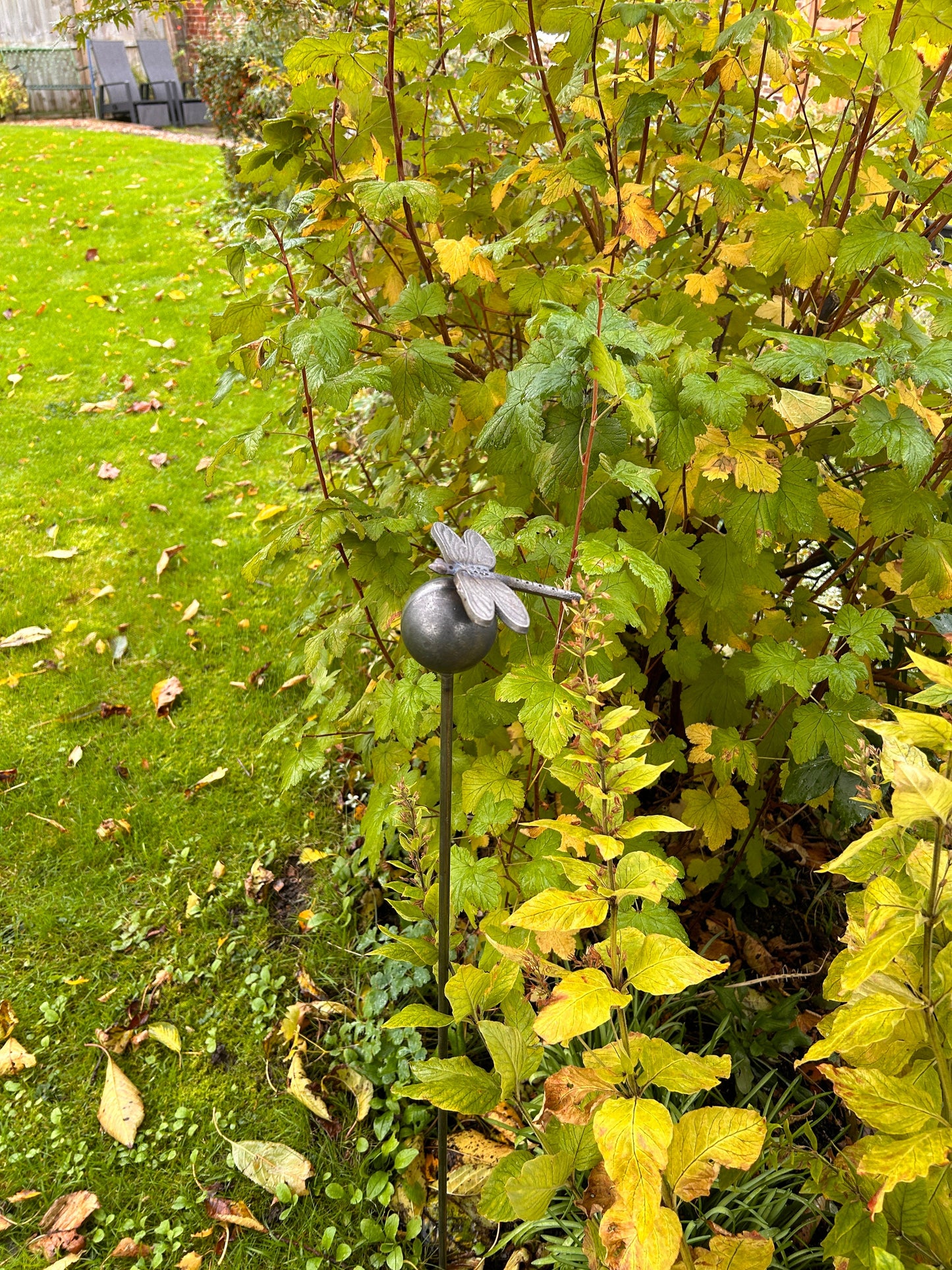 Dragonfly on ball plant support Rusty