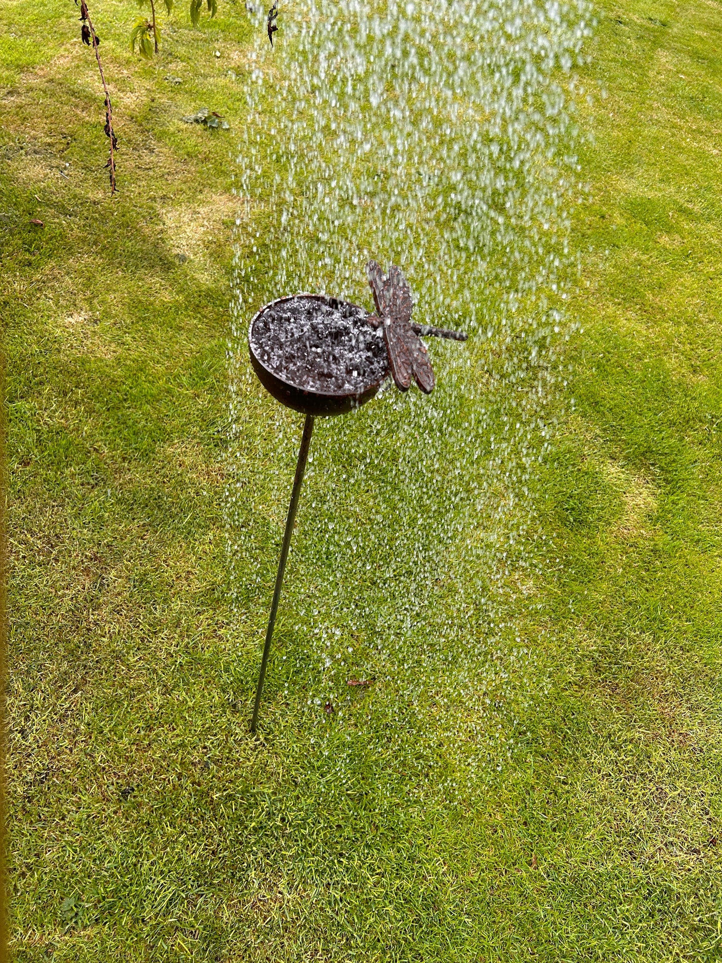Dragonfly raincatcher RUSTY