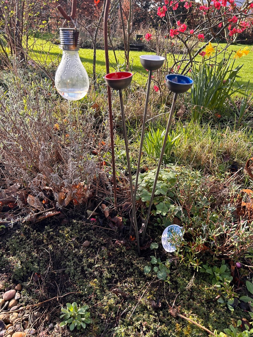 Trio Mini Rain Catchers | Bee feeders Trio | Rusts with Rain  --coloured cup