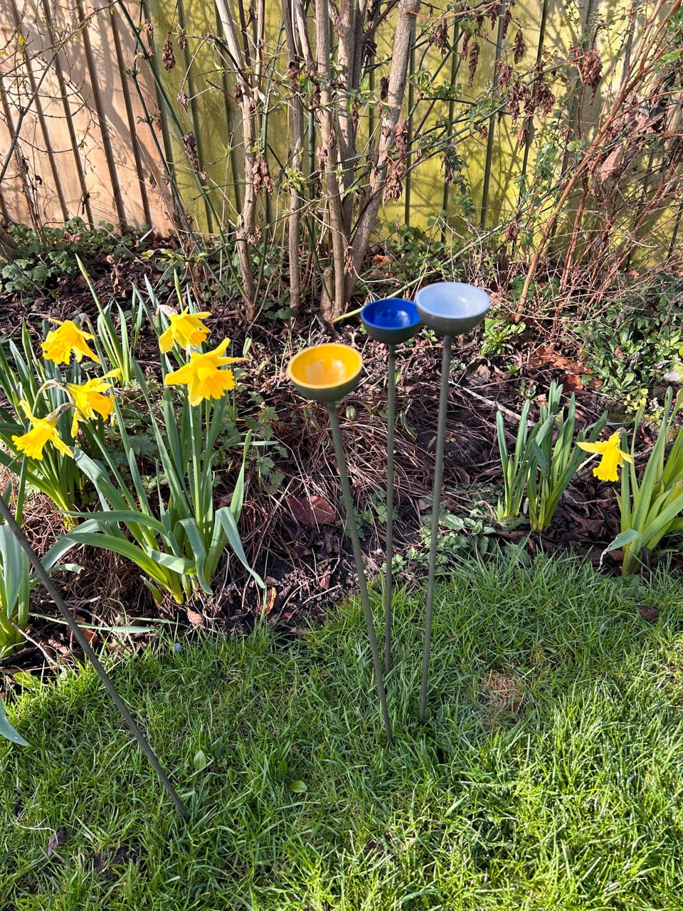 Trio Mini Rain Catchers | Bee feeders Trio | Rusts with Rain  --coloured cup