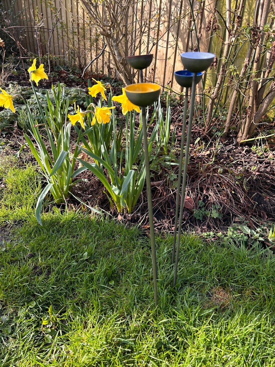 Trio Mini Rain Catchers | Bee feeders Trio | Rusts with Rain  --coloured cup