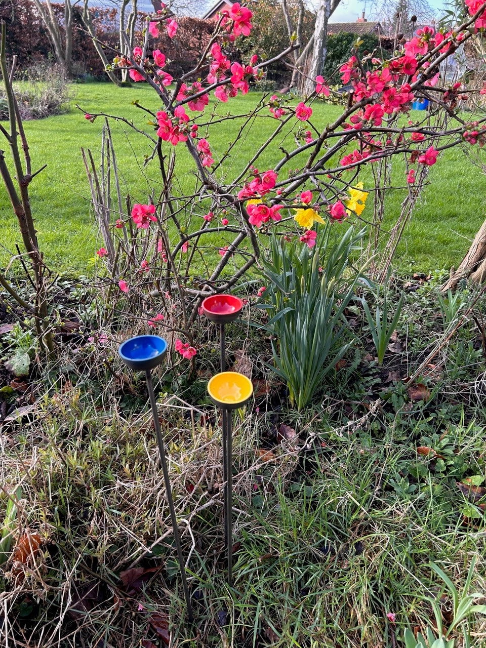 Trio Mini Rain Catchers | Bee feeders Trio | Rusts with Rain  --coloured cup