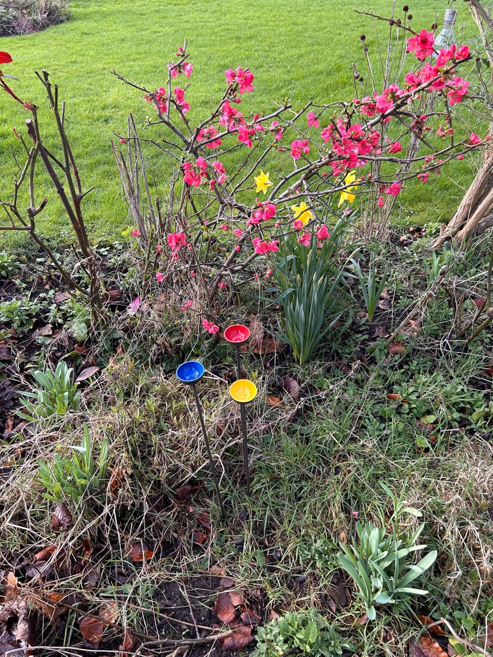 Trio Mini Rain Catchers | Bee feeders Trio | Rusts with Rain  --coloured cup