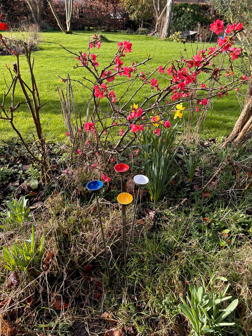 Trio Mini Rain Catchers | Bee feeders Trio | Rusts with Rain  --coloured cup