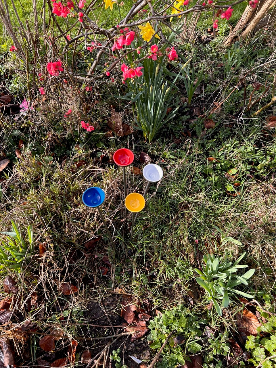 Trio Mini Rain Catchers | Bee feeders Trio | Rusts with Rain  --coloured cup