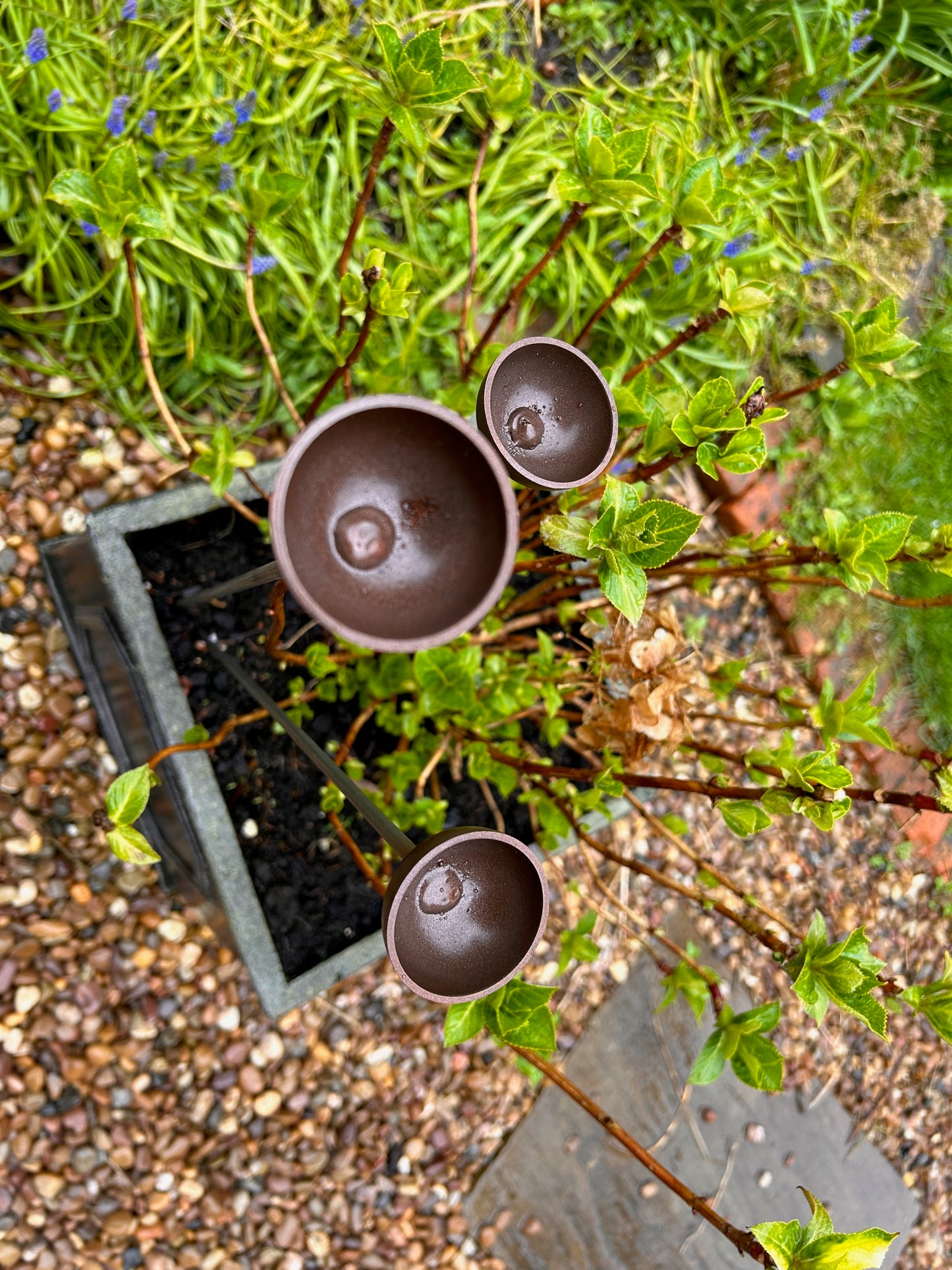 Trio Mini Rain Catchers | Bee feeders Trio | Rusts with Rain  --coloured cup