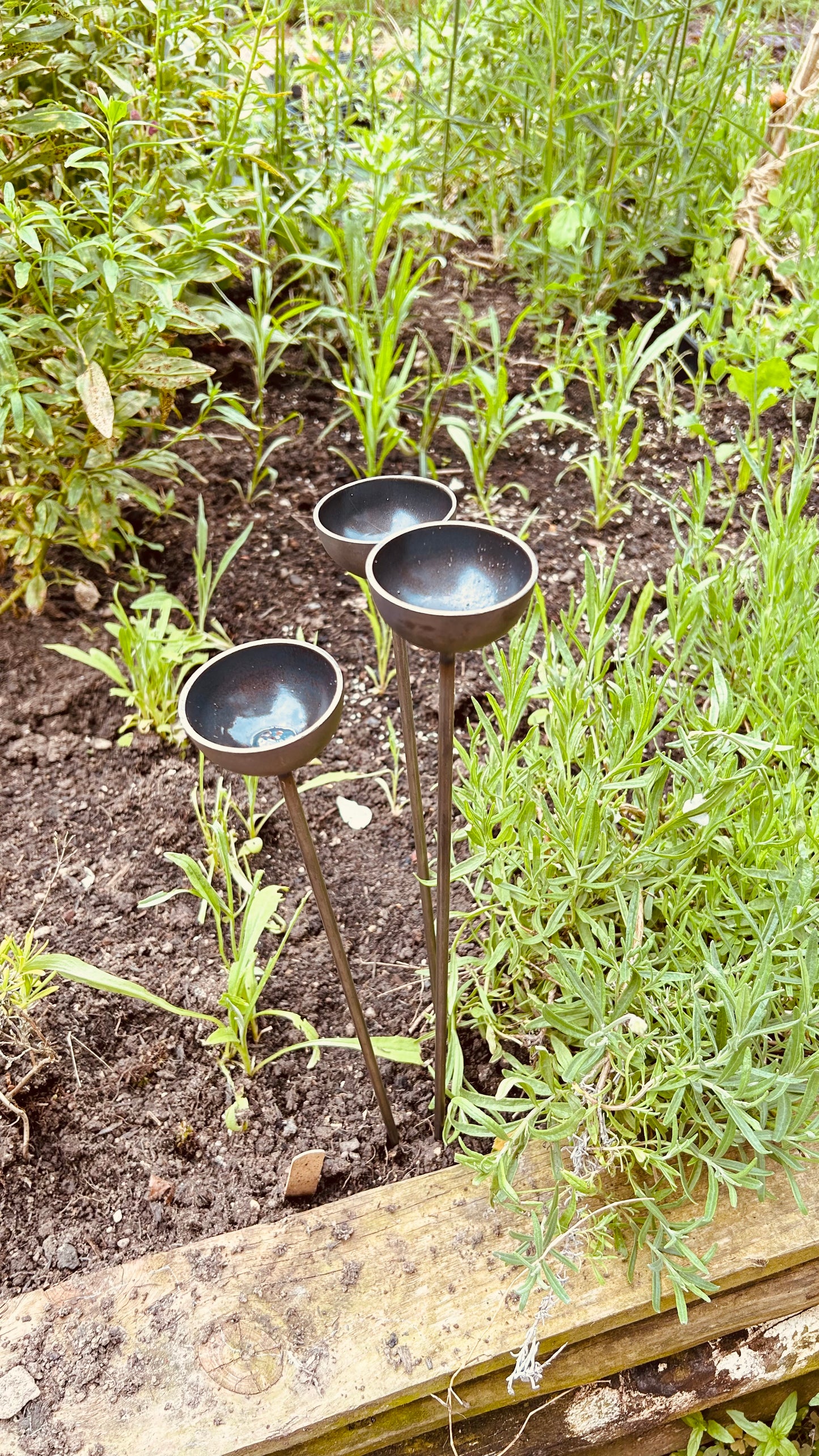 Trio mini extra small bee feeders rain catchers plant pot etc Trusty Rusty's