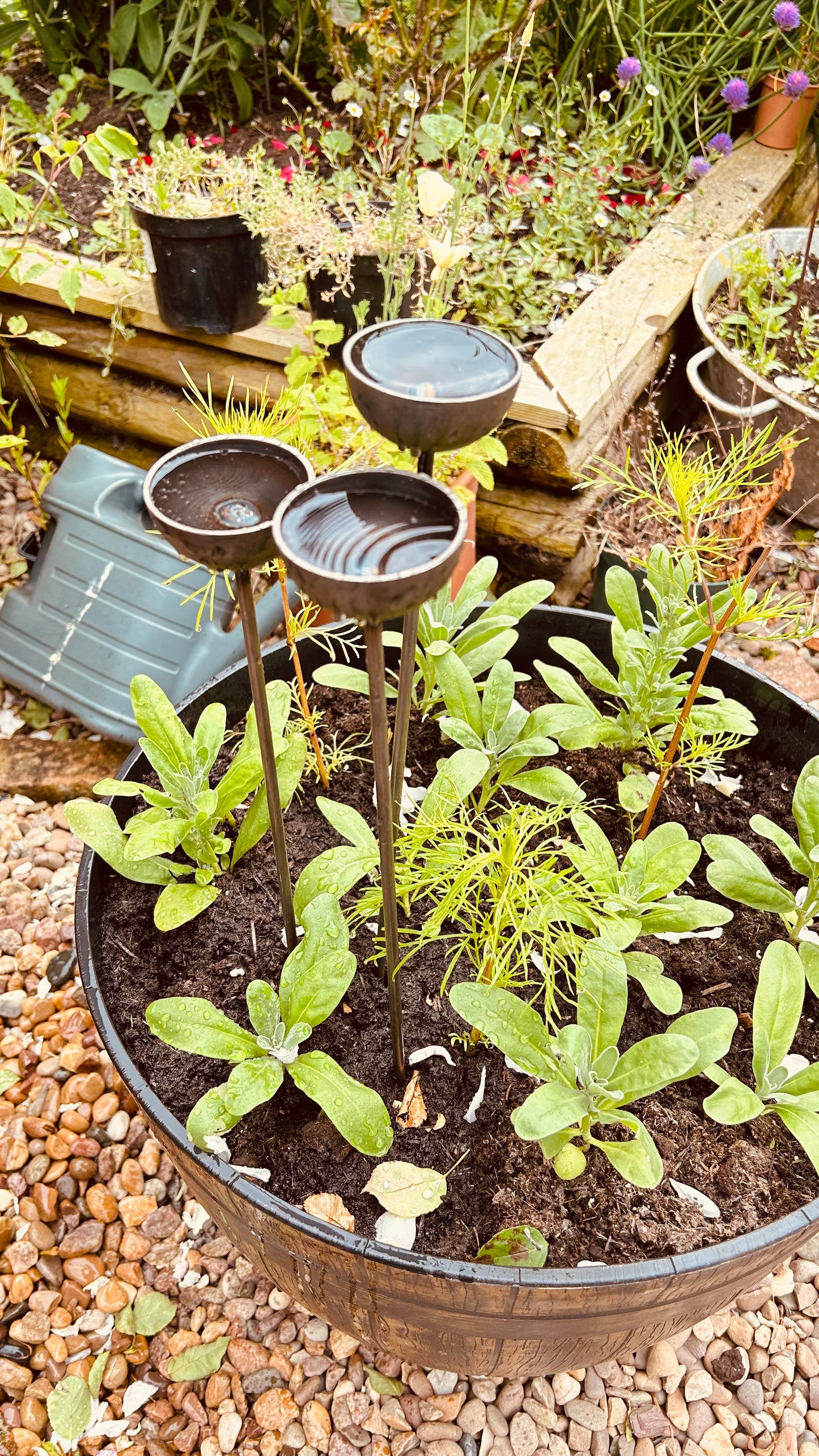 Trio mini extra small bee feeders rain catchers plant pot etc Trusty Rusty's