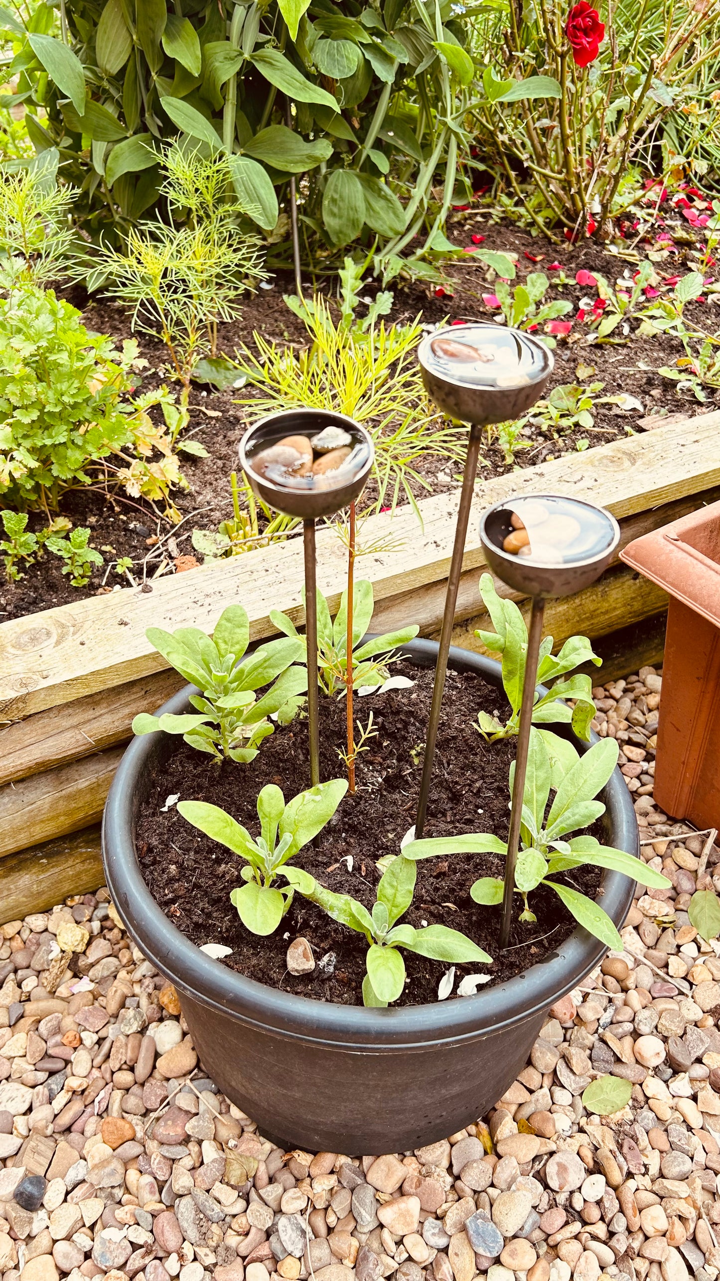 Trio mini extra small bee feeders rain catchers plant pot etc Trusty Rusty's