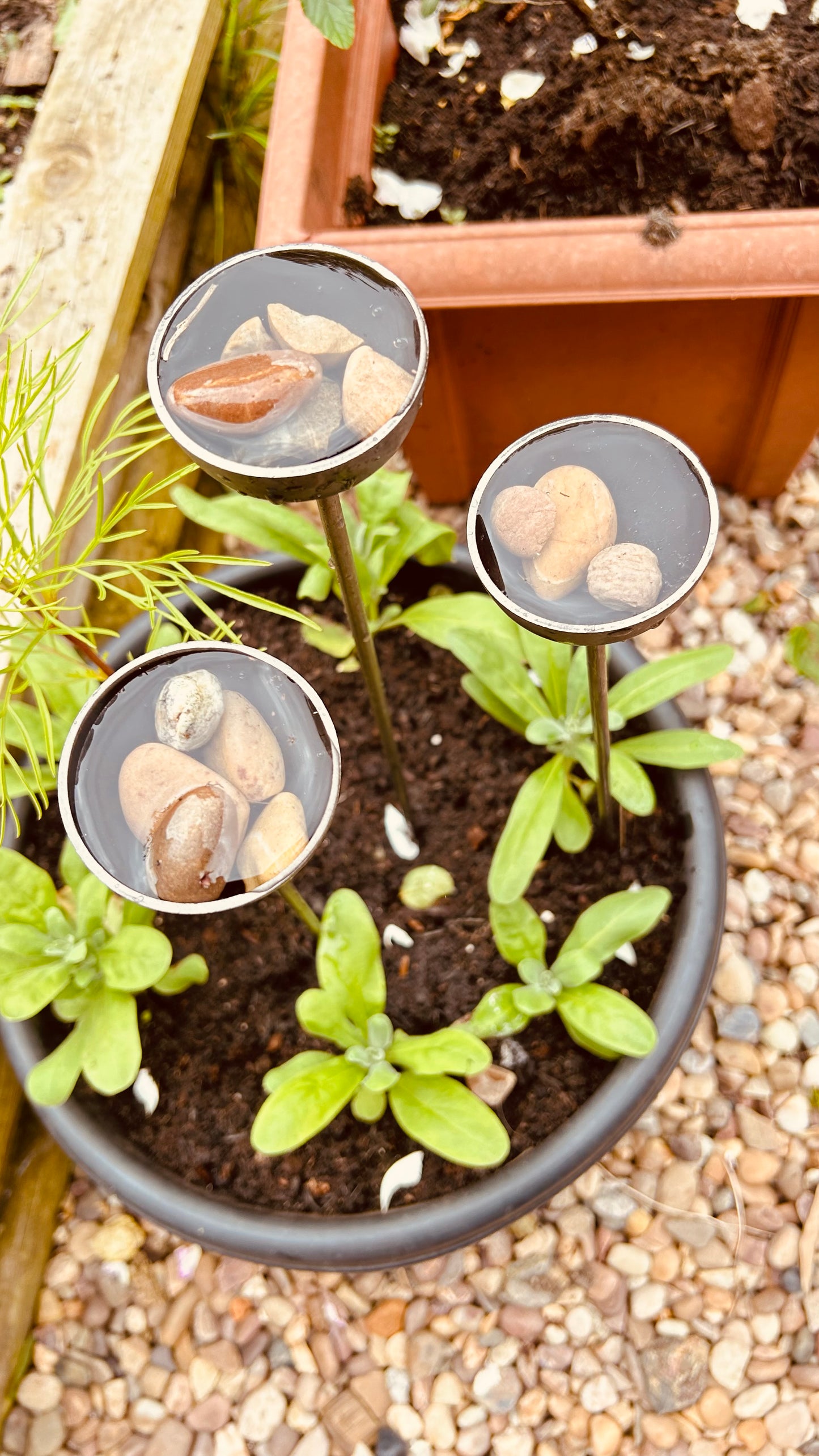 Trio mini extra small bee feeders rain catchers plant pot etc Trusty Rusty's