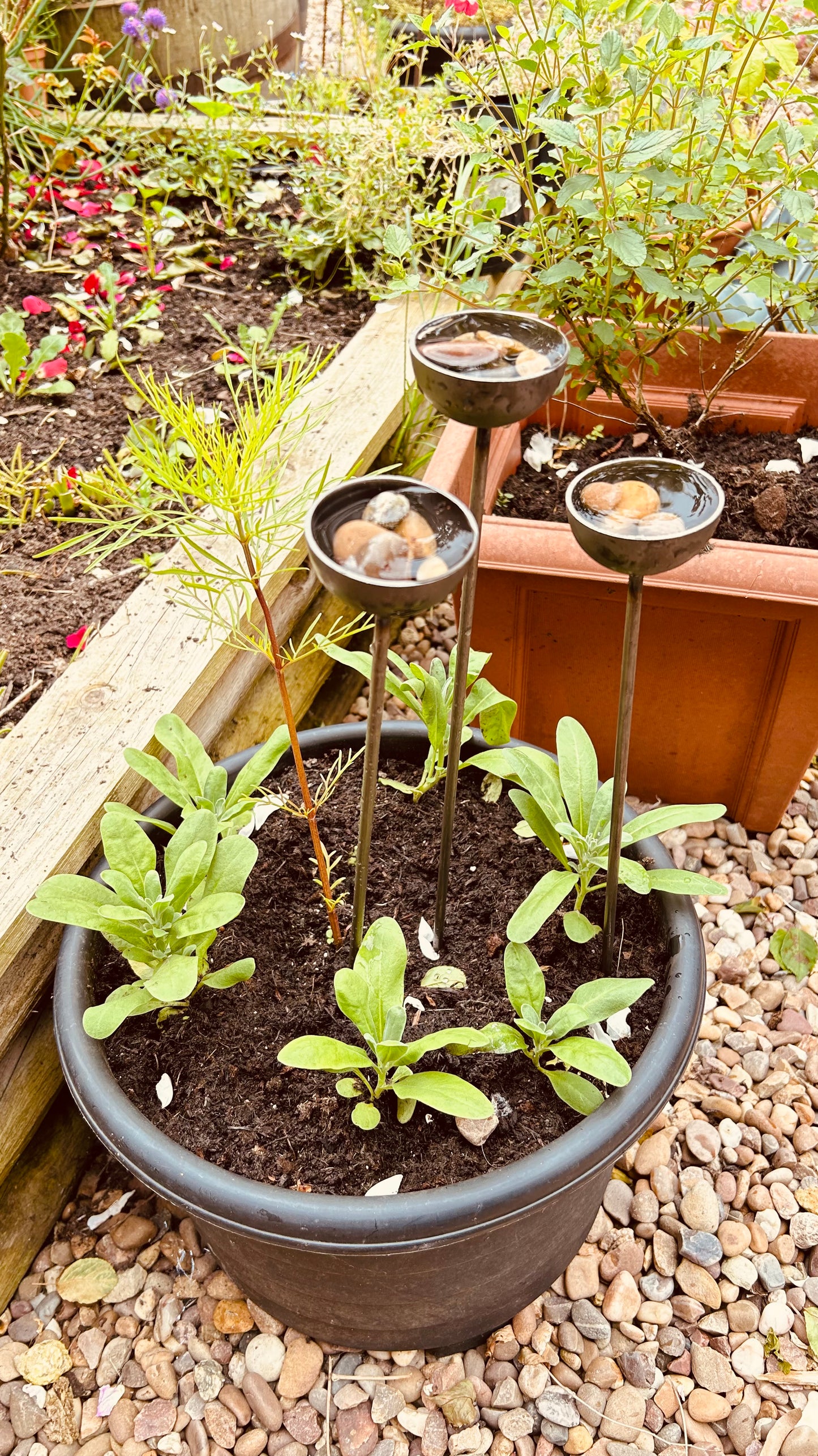 Trio mini extra small bee feeders rain catchers plant pot etc Trusty Rusty's