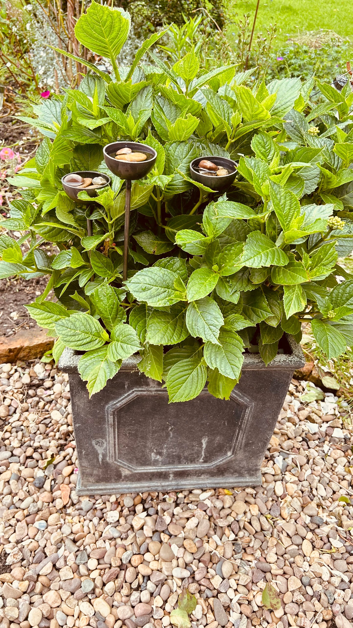 Trio mini extra small bee feeders rain catchers plant pot etc Trusty Rusty's