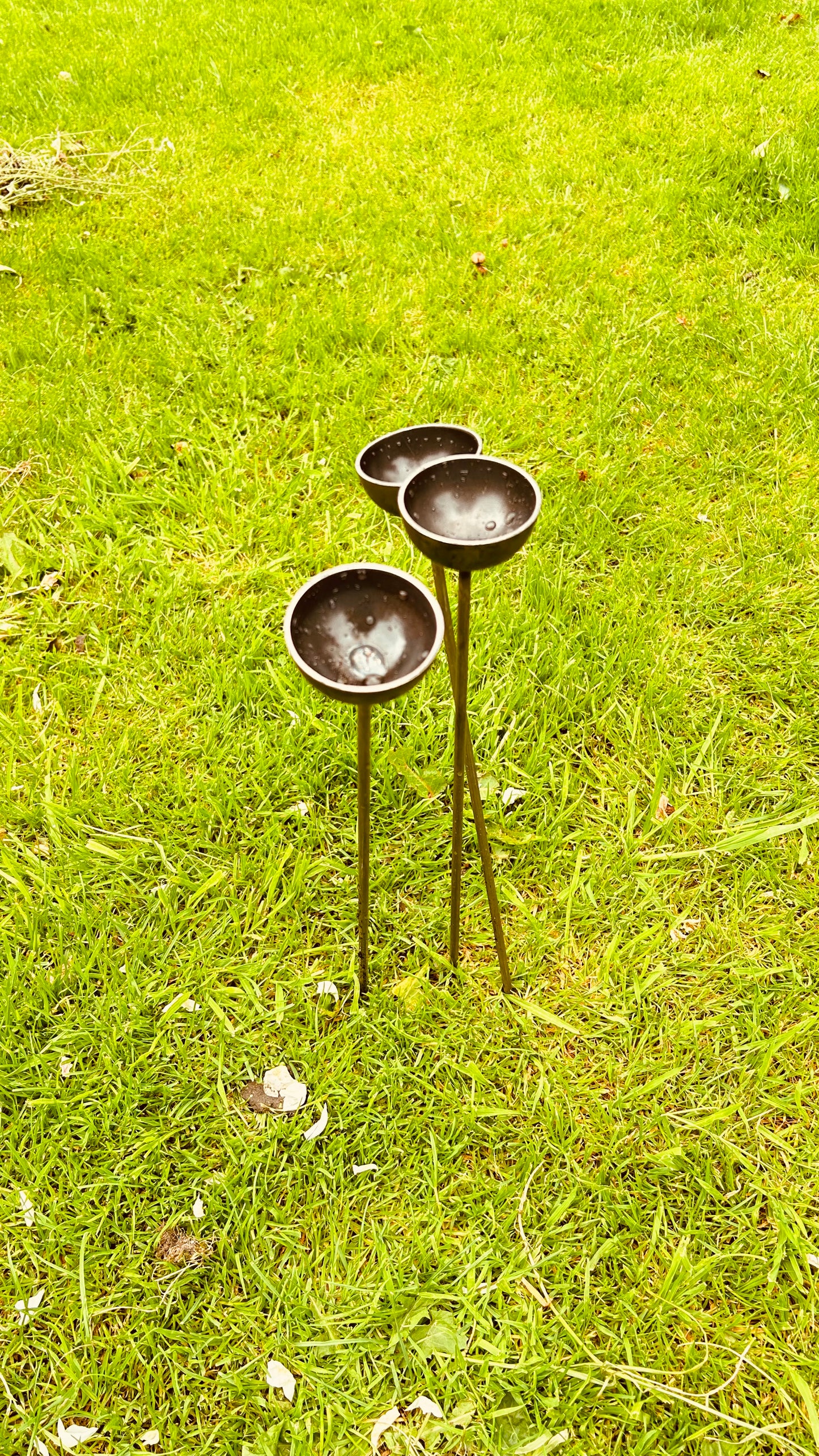 Trio mini extra small bee feeders rain catchers plant pot etc Trusty Rusty's