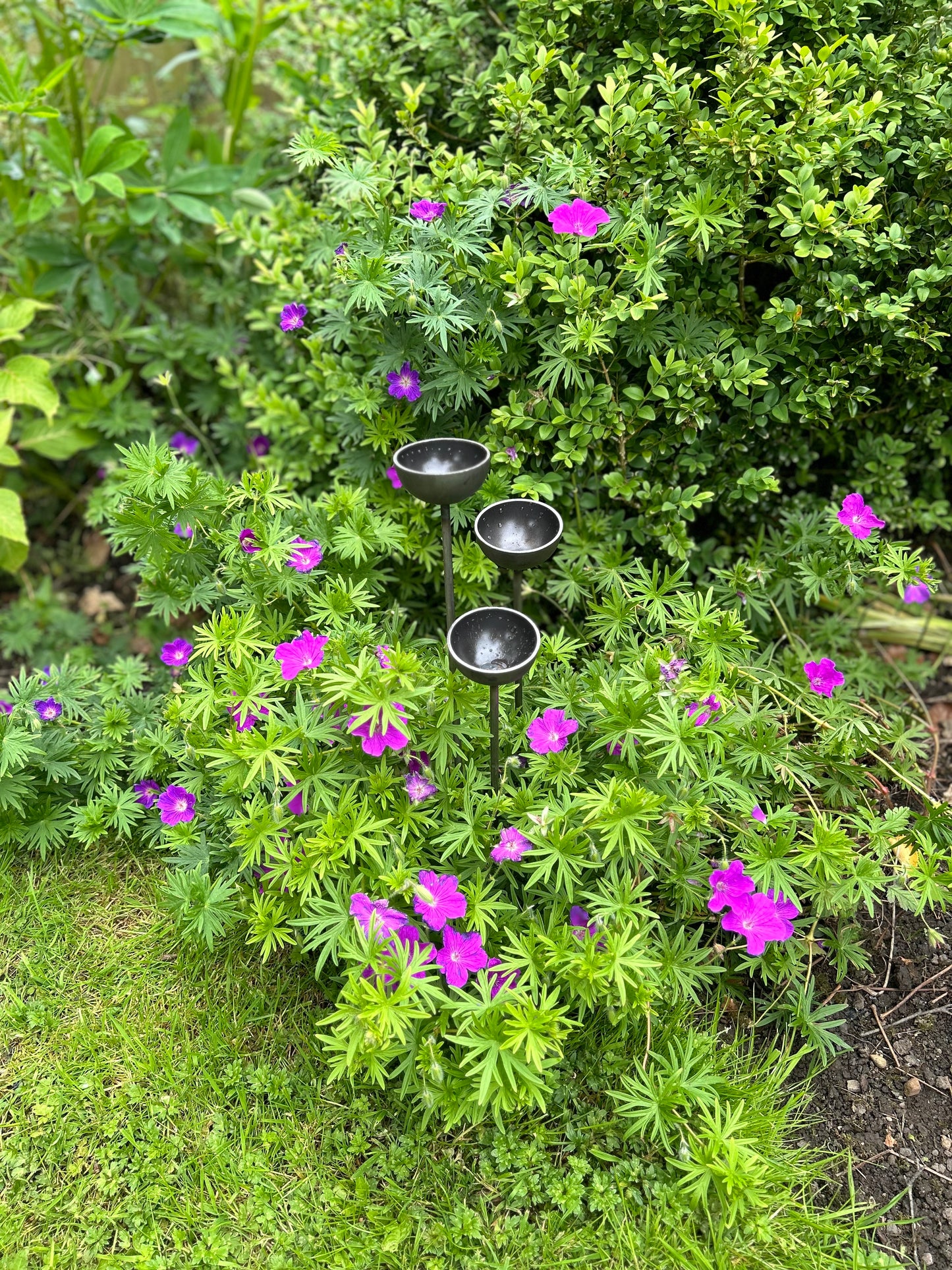 Trio mini extra small bee feeders rain catchers plant pot etc Trusty Rusty's