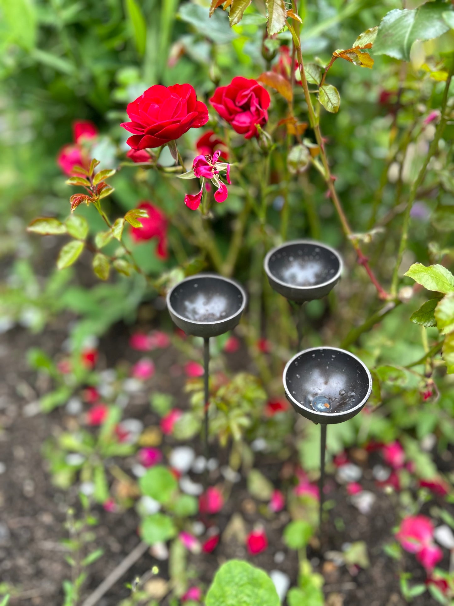 Trio mini extra small bee feeders rain catchers plant pot etc Trusty Rusty's