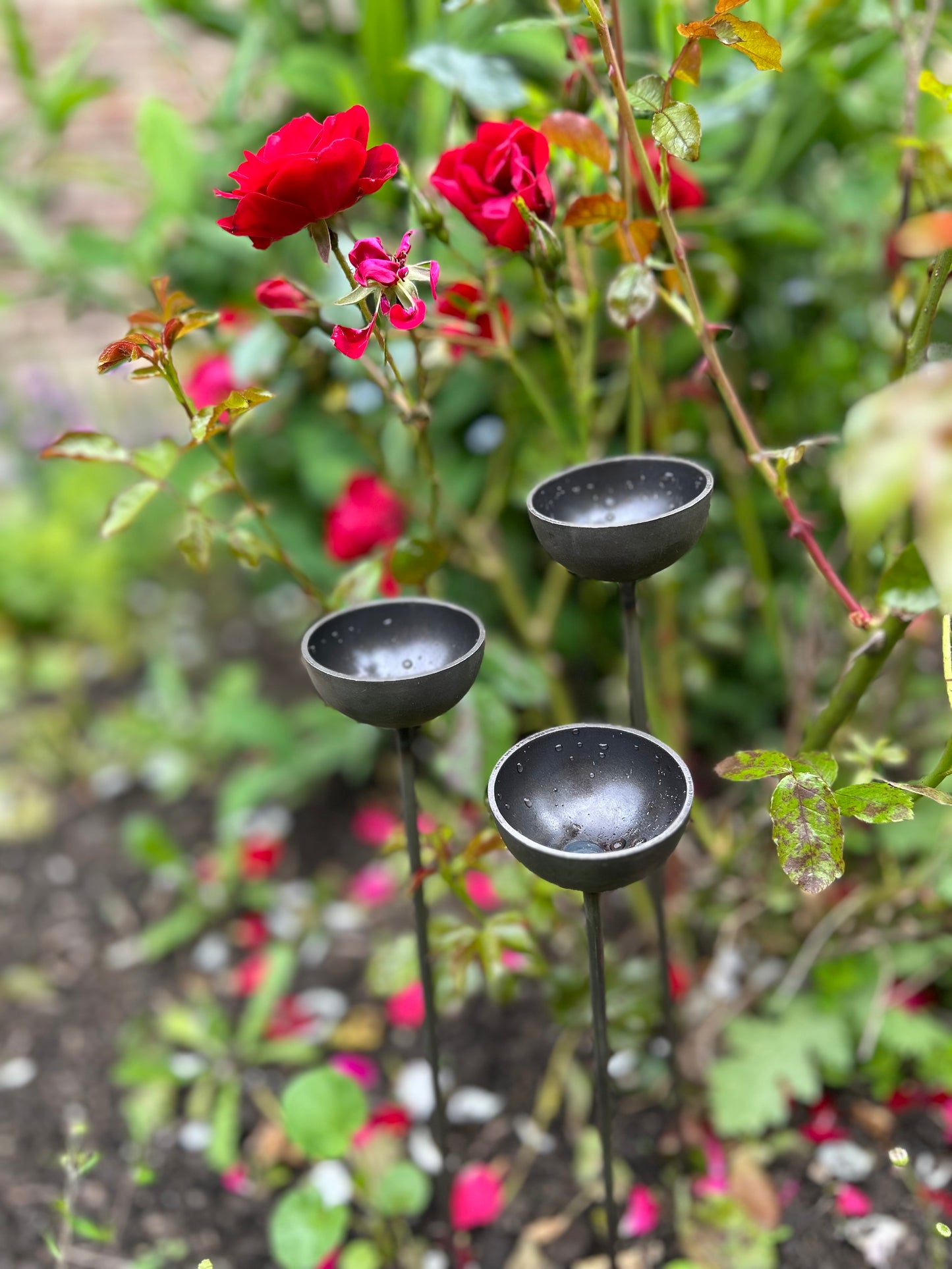 Trio mini extra small bee feeders rain catchers plant pot etc Trusty Rusty's