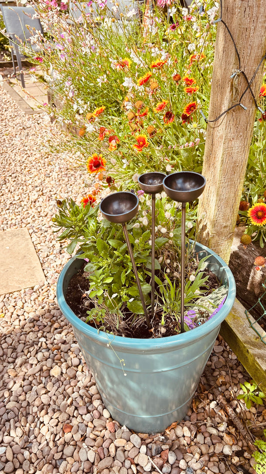 Trio mini rain catchers bee feeders etc Trusty Rusty's