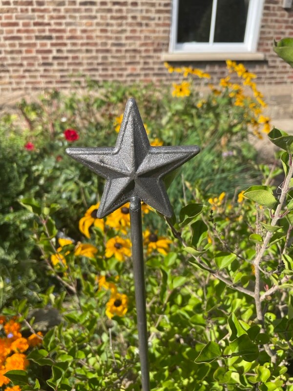 star plant support rusty steel