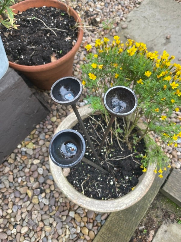 Trio mini extra small bee feeders rain catchers plant pot etc Trusty Rusty's