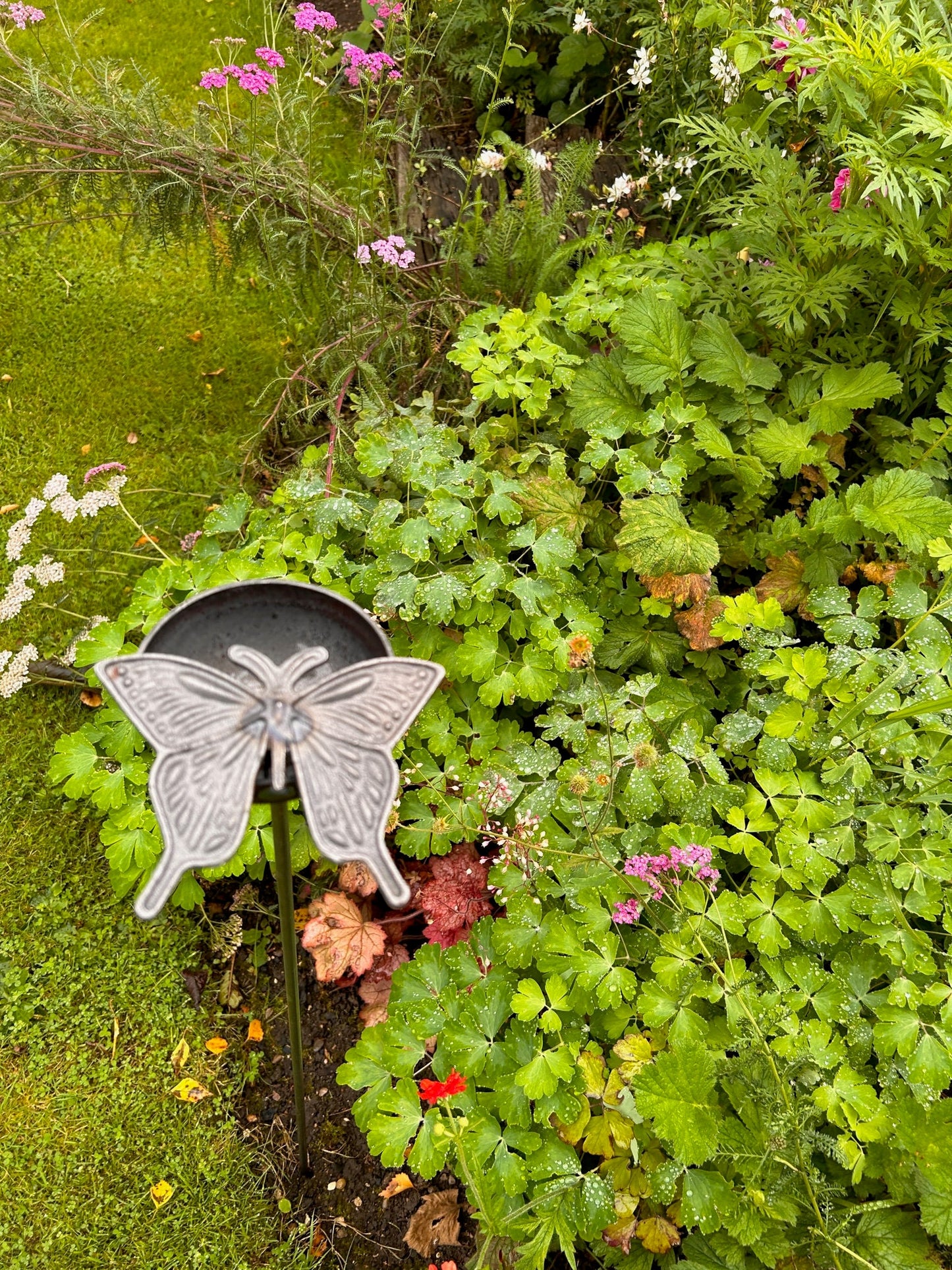 Large Butterfly Raincatcher rusty