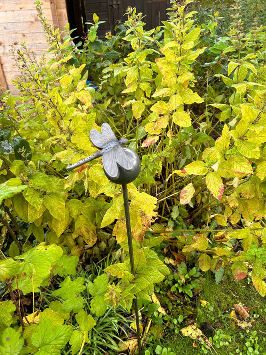 Dragonfly on ball plant support Rusty